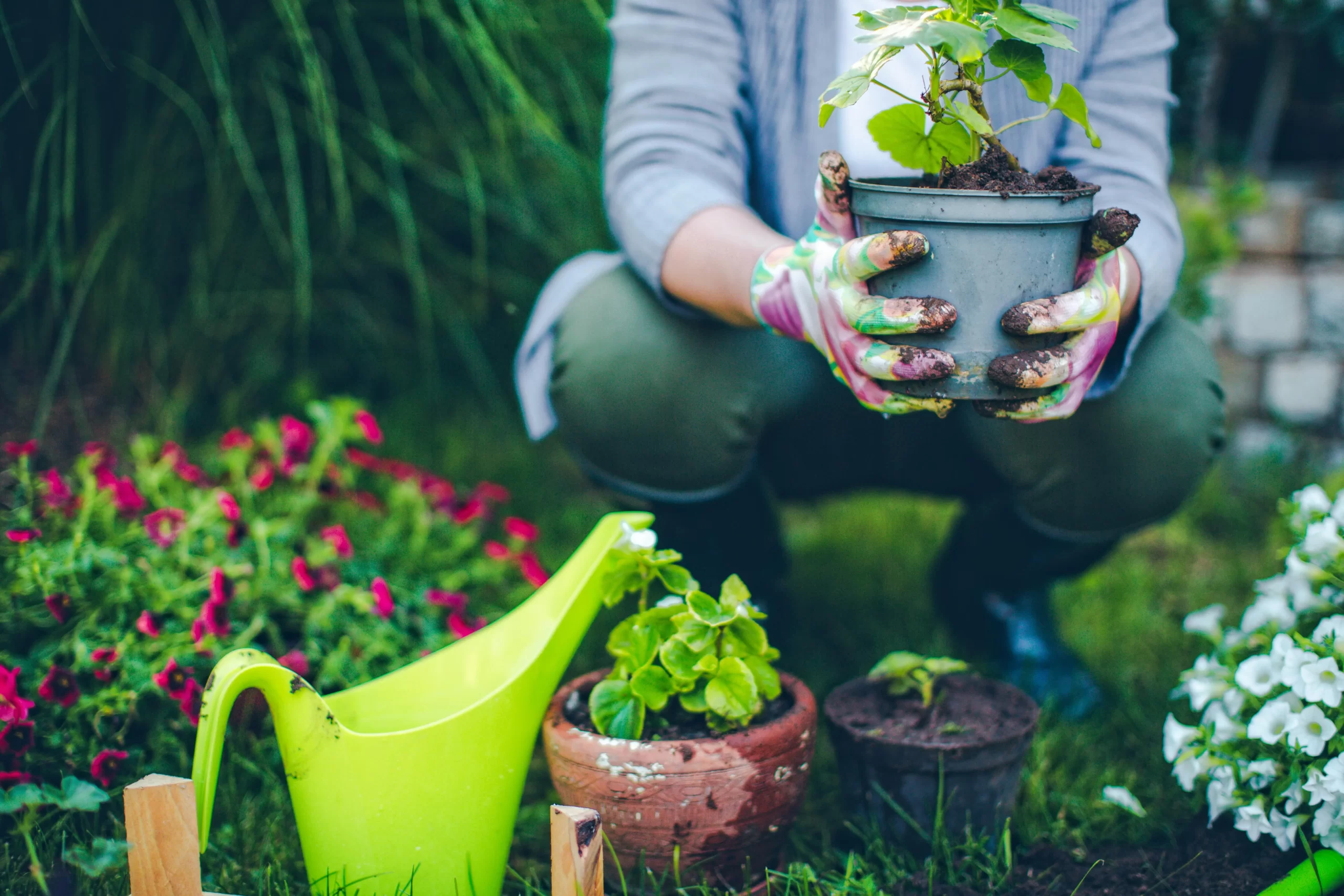 Gardening