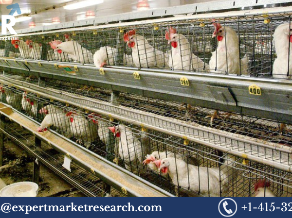 India Poultry Management Market