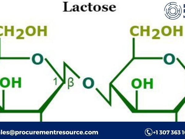 Lactose Production Cost