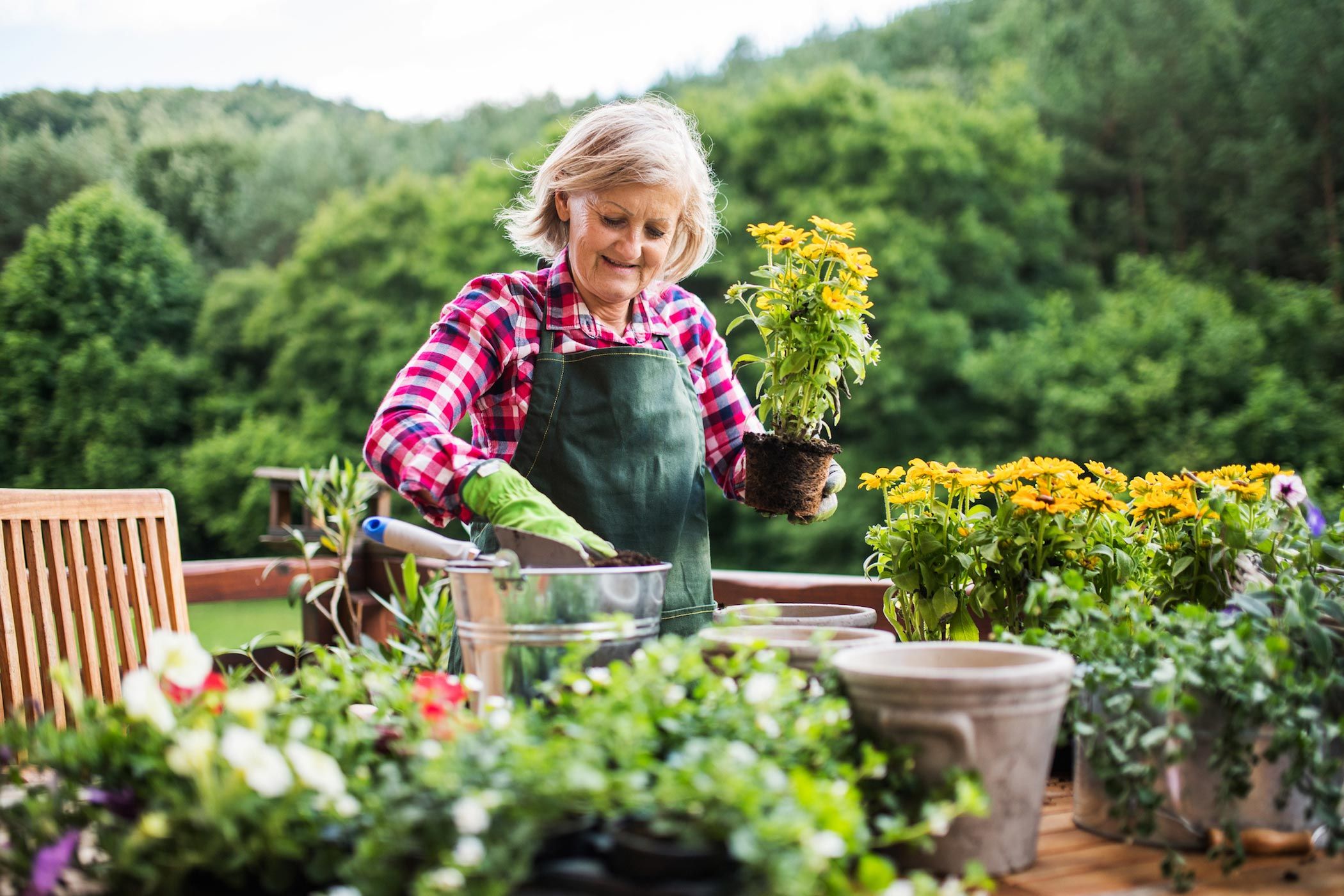 gardening